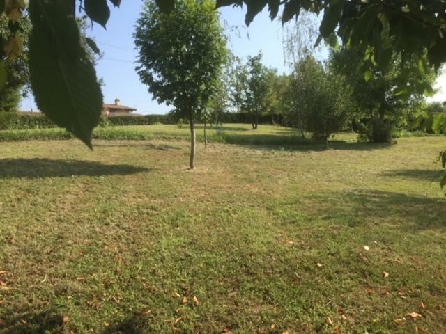 Casa In Campagna _Lori Volta Mantovana Exterior foto
